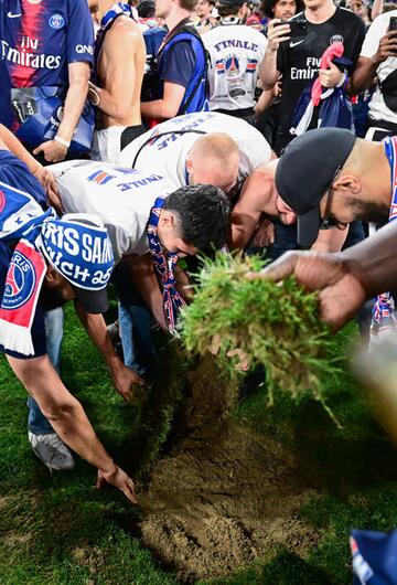 Rasen in der Allianz Arena