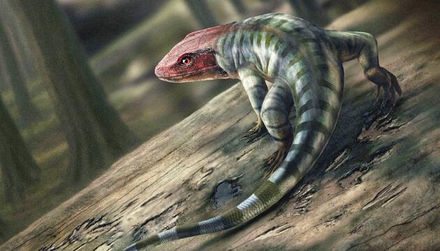 Illustration Ur-Reptil