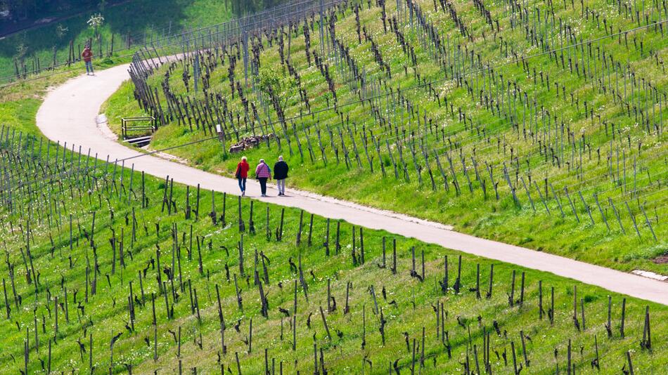 Schönes Wetter in der Region Stuttgart