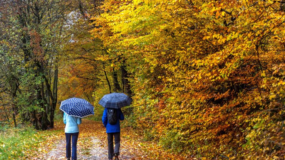 Personen mit Regenschirm im Wald