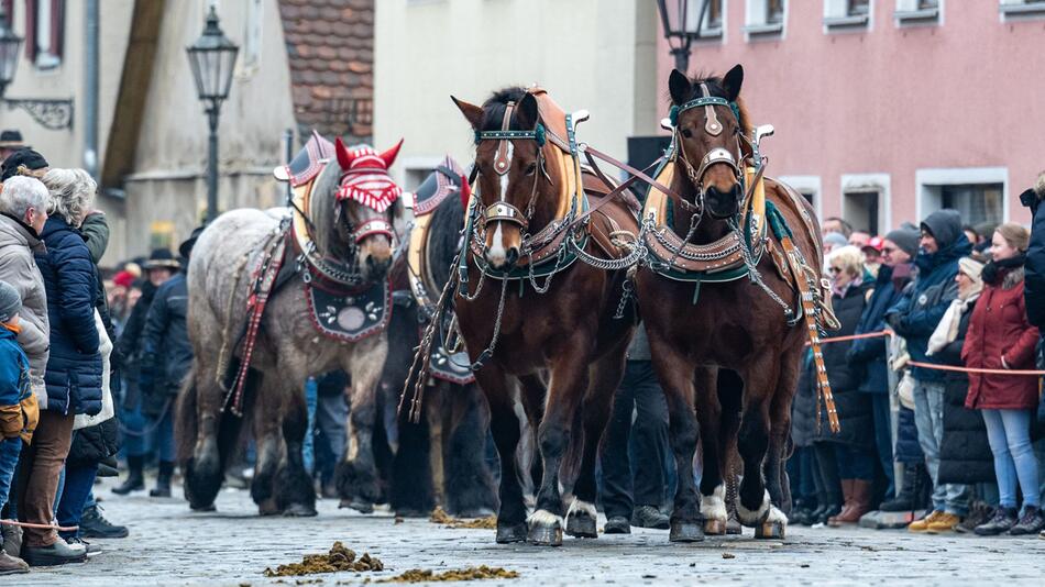 Berchinger Rossmarkt