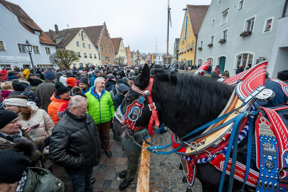 Berchinger Rossmarkt