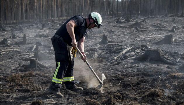 Waldbrand auf der Saalfelder Höhe: Größter Einsatz seit 30 Jahren