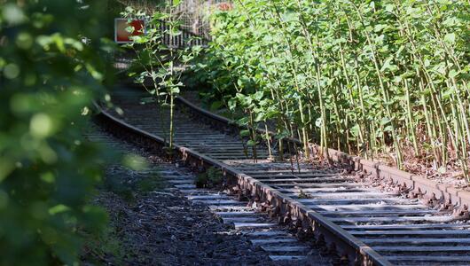 Eine stillgelegte Bahntrasse 