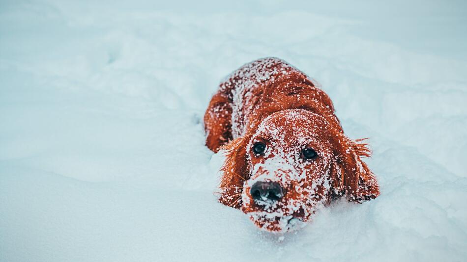 Schnee fressen? Auf keinen Fall!