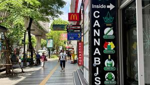 Cannabis in Thailand
