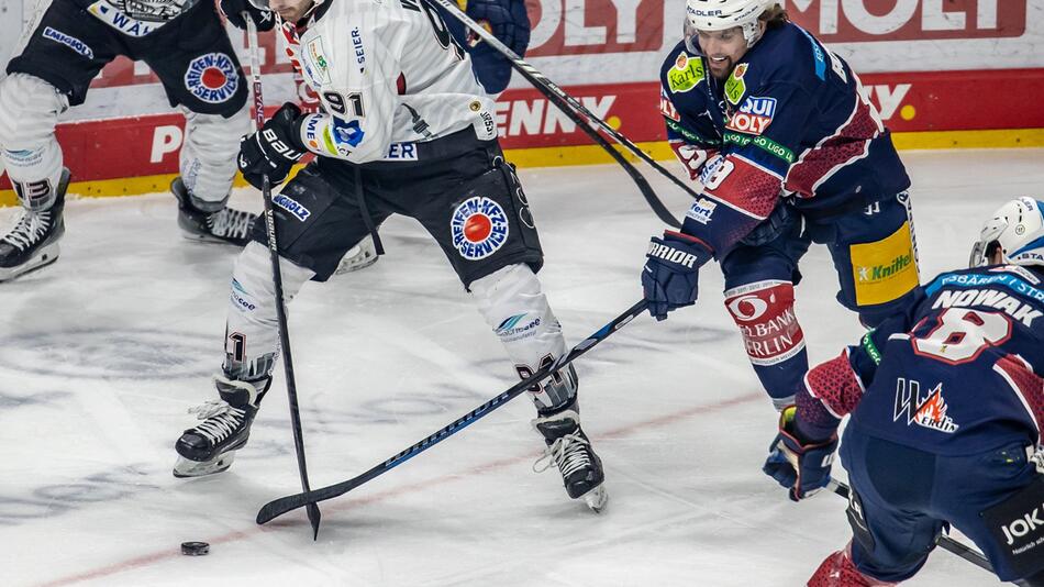 Eisbären Berlin - Pinguins Bremerhaven