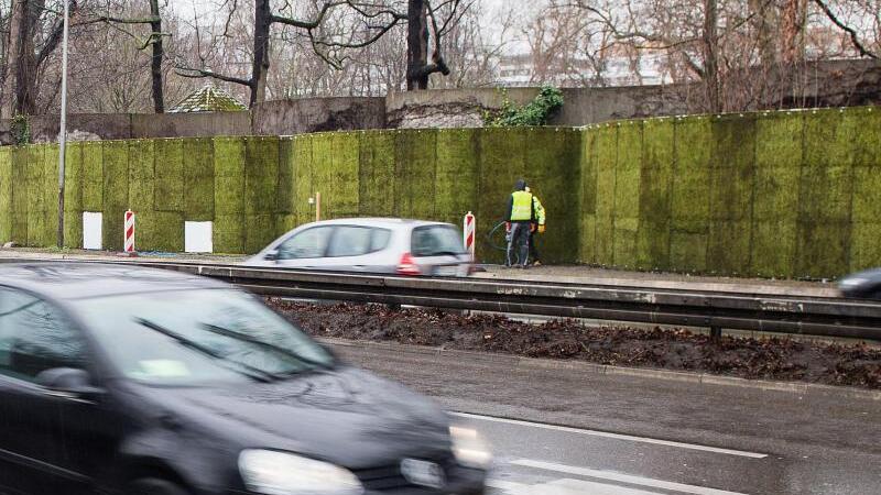 Mooswand gegen Feinstaub