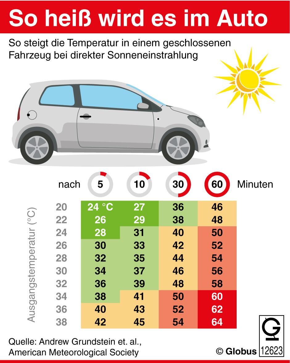 Bei direkter Sonneneinstrahlung kann die Temperatur in Autos rasant steigen.