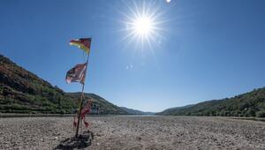 Dürre am Mittelrhein