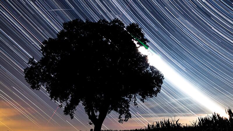 Baum mit Sternen