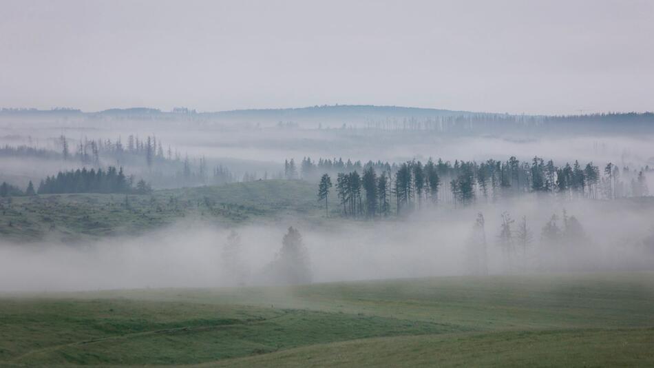 Wetter im Harz