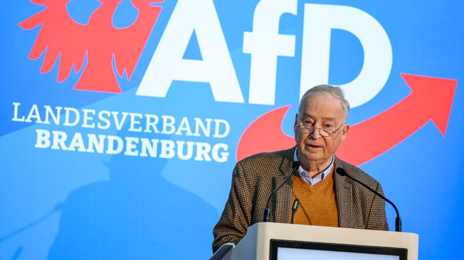 Landesparteitag AfD Brandenburg