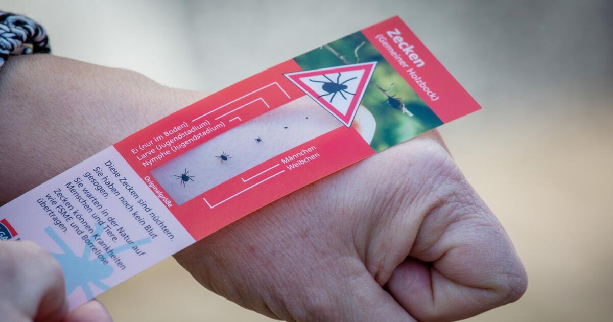 Mehr Risikogebiete für durch Zecken übertragene ...