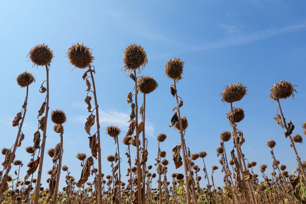 Sommerhitze auf dem Balkan