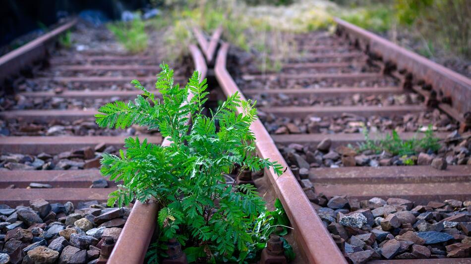 Stillgelegte Bahnstrecke