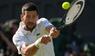 Wimbledon Tennis 2025