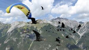 Walrappe, Flugzeug, Reise