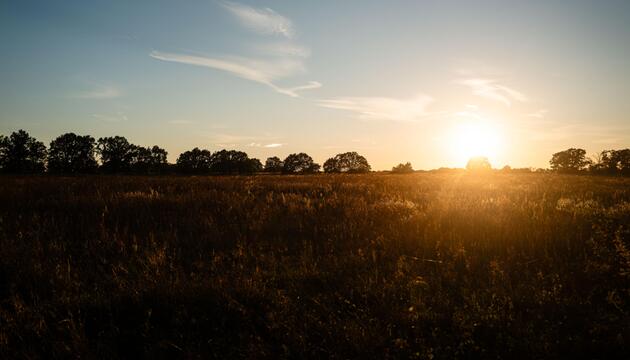 Sonnenuntergang bei spätsommerlichen Temperaturen in Brandenburg.