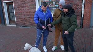 Hündin Layla, Halter und Trainerin Melle