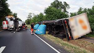 Biene sticht Fahrer - Lkw kippt auf Radweg