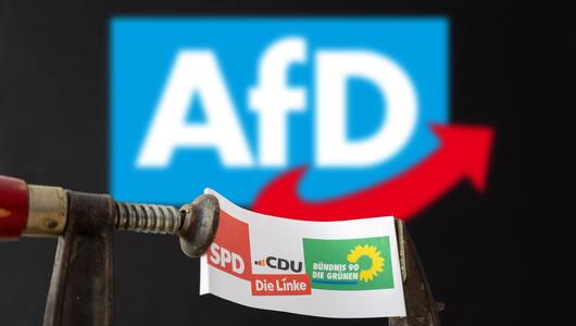 AFD, SPD, Die Grünen, CDU, Die Linke