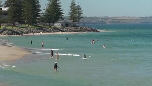 "Nicht in Panik geraten" - 44 Grad Celsius machen Menschen im Süden Australiens zu schaffen