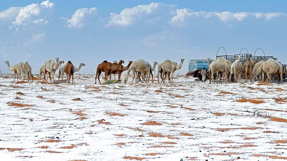 Schnee in Saudi-Arabien