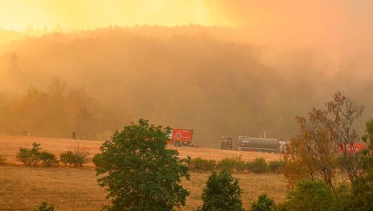 Waldbrand im Hürtgenwald