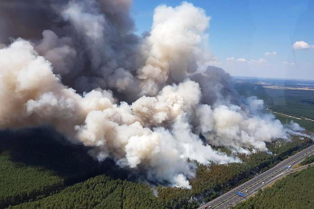 Bild zu GroÃer Waldbrand bei Potsdam