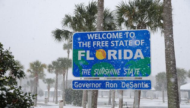 Schnee in Florida - Kältetote in Texas