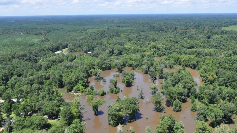 Überschwemmungen in Baton Rouge