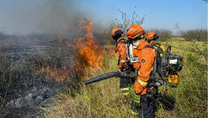 Brand im Pantanal in Brasilien