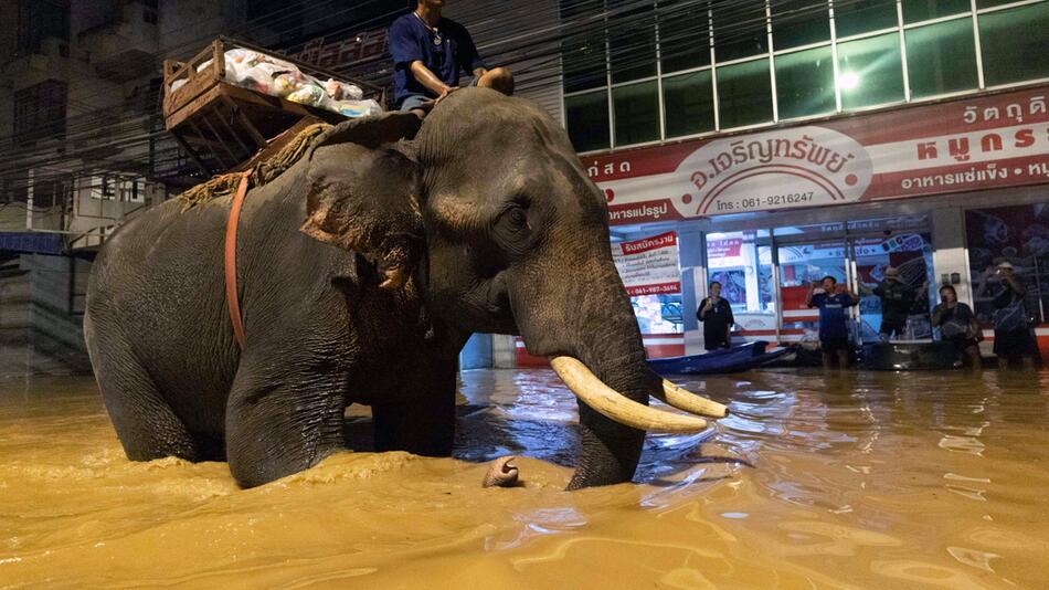 Hochwasser in Thailand