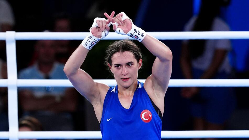 Türkische Bronze-Boxerin Yildiz