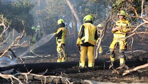 Waldbrand bei Thale im Harz