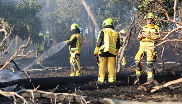 Waldbrand bei Thale im Harz