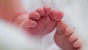 Illustration - Geburten