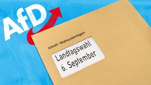 Fotomontage von Wahlunterlagen der Landtagswahl in Sachsen-Anhalt vor AfD-Logo.