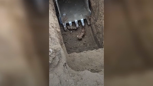 Bagger als Retter: Bauarbeiter holen Hund aus tiefer Grube in China