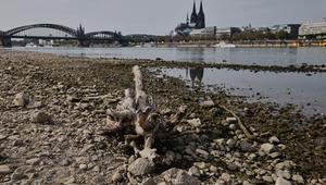 Niedrigwasser am Rhein in Köln