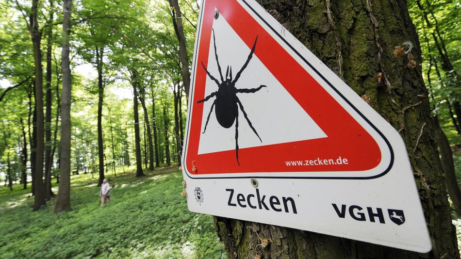 Zecken-Gefahr in Niedersachsen