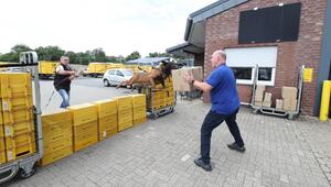 Beißende Hunde, aggressive Gänse: Immer wieder Angriffe auf Postzusteller