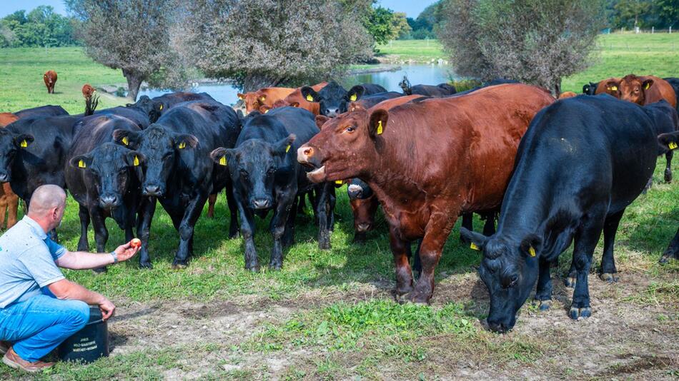 17. Bio-Landpartie in Mecklenburg-Vorpommern