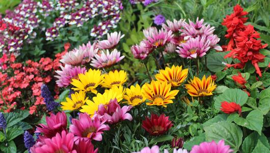 Blumen
