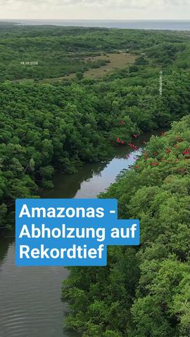 Amazonas-Abholzung auf Rekordtief
