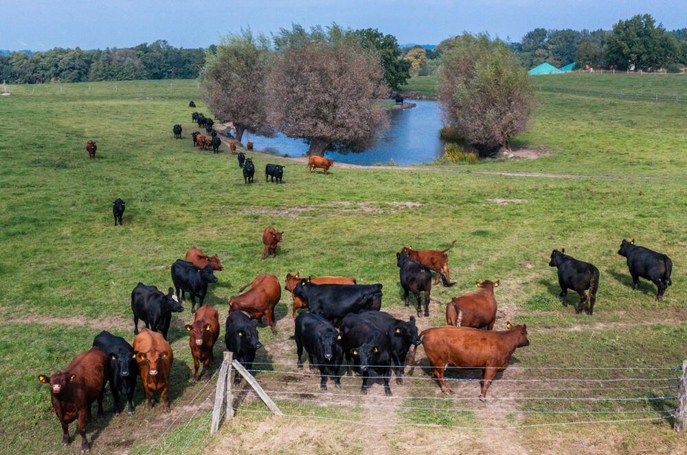 17. Bio-Landpartie in Mecklenburg-Vorpommern