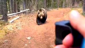 Bange zehn Minuten: Grizzly jagt Wanderer in Kanada