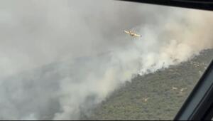 Löscheinsatz aus der Luft: Flugzeuge im Kampf gegen Waldbrand in Spanien