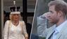 Palast-Insider klärt auf: Königin Camilla soll Prinz Harry vergeben haben